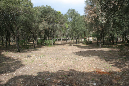 Servicios forestales